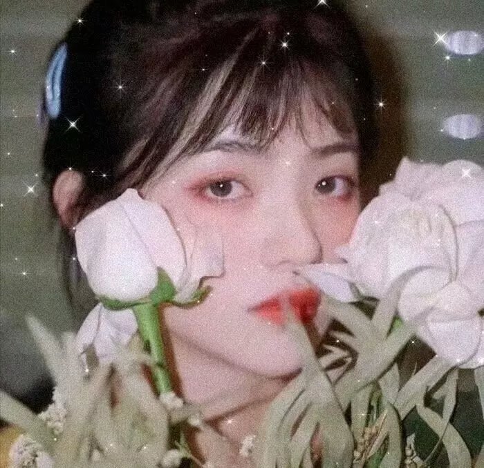 北非谍影